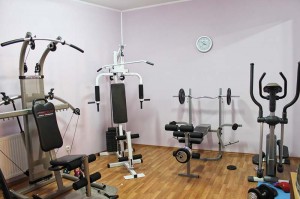 Gym and Fitness - Exclusive accommodation Zagreb Fitness Vila Marija